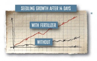 Image of a graph showing the rate of seedling growh with fertiliser vs. seedling growth without fertiliser
